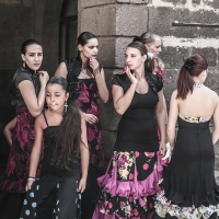 Estrella Flamenca