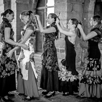Estrella Flamenca