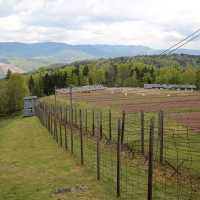 L'ancien camp de concentration de Natzweiler-Struthof